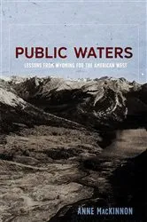 Book cover of Public Waters by Anne MacKinnon