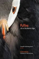 Book cover of Puffins by Kevin Morgans