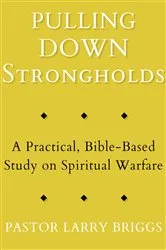 Book cover of Pulling Down Strongholds by Larry Briggs