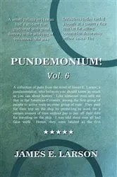 Book cover of Pundemonium! Vol. 6 by James E Larson
