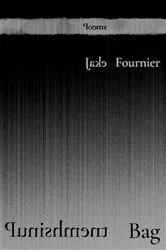 Book cover of Punishment Bag by Jake Fournier