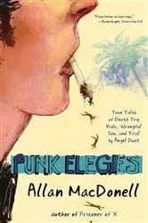 Book cover of Punk Elegies by Allan MacDonell