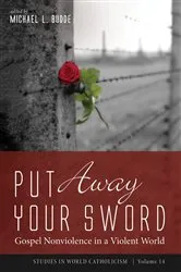 Book cover of Put Away Your Sword by Michael L. Budde