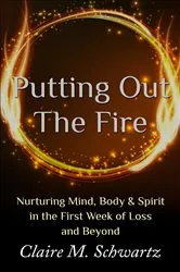 Book cover of Putting Out the Fire by Claire M. Schwartz