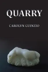 Book cover of Quarry by Carolyn Guinzio