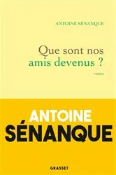 Book cover of Que sont nos amis devenus ? by Antoine Sénanque