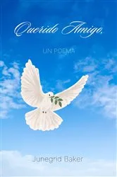 Book cover of Querido Amigo, by Junegrid Baker