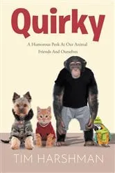 Book cover of Quirky by Tim Harshman