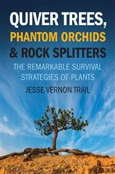 Book cover of Quiver Trees, Phantom Orchids & Rock Splitters by Jesse Vernon Trail