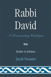 Book cover of Rabbi David by Jacob Neusner