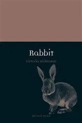 Book cover of Rabbit by Victoria Dickenson