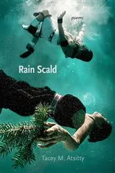 Book cover of Rain Scald by Tacey M. Atsitty