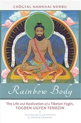 Book cover of Rainbow Body by Kurt Leland