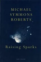 Book cover of Raising Sparks by Michael Symmons Roberts