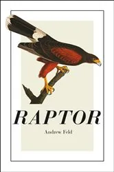 Book cover of Raptor by Gary Jennings