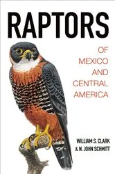 Book cover of Raptors of Mexico and Central America by William S. Clark