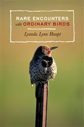 Book cover of Rare Encounters with Ordinary Birds by Lyanda Lynn Haupt