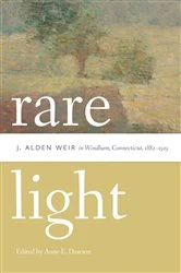 Book cover of Rare Light by Anne E. Dawson