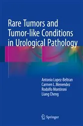 Book cover of Rare Tumors and Tumor-like Conditions in Urological Pathology by Antonio Lopez-Beltran