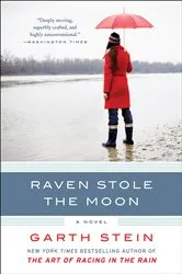 Book cover of Raven Stole the Moon by Unknown