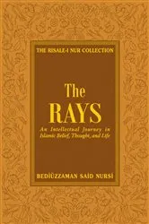 Book cover of Rays by Richard Price