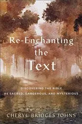 Book cover of Re-enchanting the Text by Cheryl Bridges Johns
