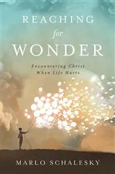 Book cover of Reaching for Wonder by Marlo Schalesky