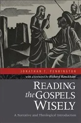 Book cover of Reading the Gospels Wisely by Jonathan T. Pennington