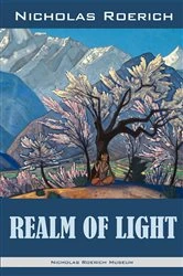 Book cover of Realm of Light by Deborah Chester