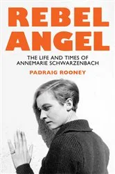 Book cover of Rebel Angel by Padraig Rooney