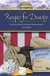 Book cover of Recipes for Disaster by Tess Rafferty