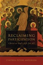 Book cover of Reclaiming Participation by Cynthia Peters Anderson