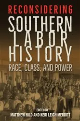Book cover of Reconsidering Southern Labor History by Matthew Hild