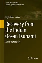 Book cover of Recovery from the Indian Ocean Tsunami by Rajib Shaw
