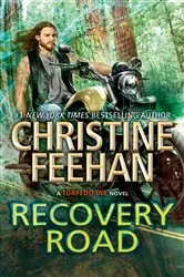 Book cover of Recovery Road by Christine Feehan