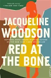 Book cover of Red at the Bone by Unknown