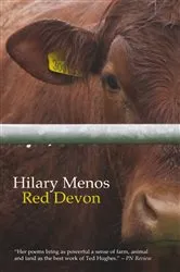Book cover of Red Devon by Hilary Menos