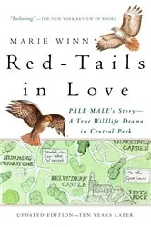 Book cover of Red-Tails in Love by Marie Winn