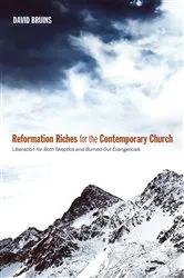 Book cover of Reformation Riches for the Contemporary Church by David R. Bruins