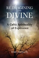 Book cover of Reimagining The Divine by Dara Molloy