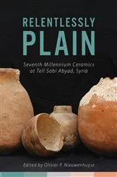 Book cover of Relentlessly Plain by Olivier P. Nieuwenhuyse