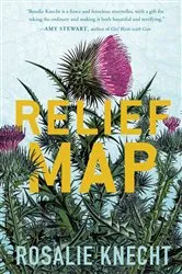 Book cover of Relief Map by Rosalie Knecht