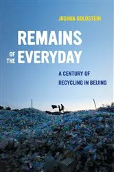 Book cover of Remains of the Everyday by Joshua Goldstein