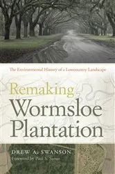 Book cover of Remaking Wormsloe Plantation by Drew A. Swanson