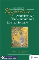 Book cover of Reoperative Aesthetic and Reconstructive Plastic Surgery (2nd ed.) by James Grotting