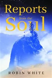 Book cover of Reports From The Soul by Robin White