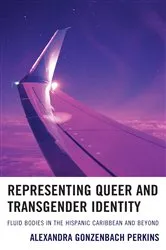 Book cover of Representing Queer and Transgender Identity by Alexandra Gonzenbach Perkins