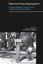 Book cover of Representing Segregation by Brian Norman
