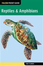 Book cover of Reptiles & Amphibians by Todd Telander