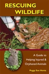 Book cover of Rescuing Wildlife by Peggy Hentz